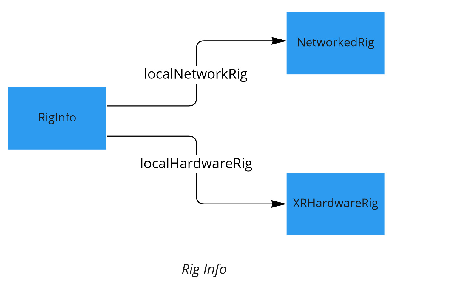 RigInfo content